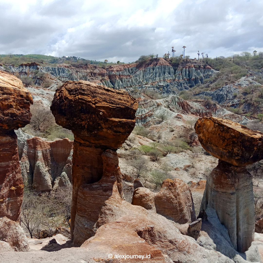 Kelabba Maja, Pulau Sabu, Nusa Tenggara Timur, Indonesia