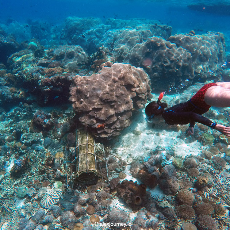 Pulau Alor, Nusa Tenggara Timur (NTT) Indonesia
