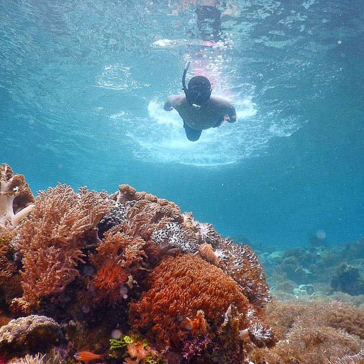 Pulau Alor, Nusa Tenggara Timur (NTT) Indonesia